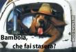 Что «делают» итальянцы? Глагол «fare». Итальянский язык, италия, самостоятельное изучение итальянского языка Спряжение глагола fare в итальянском языке